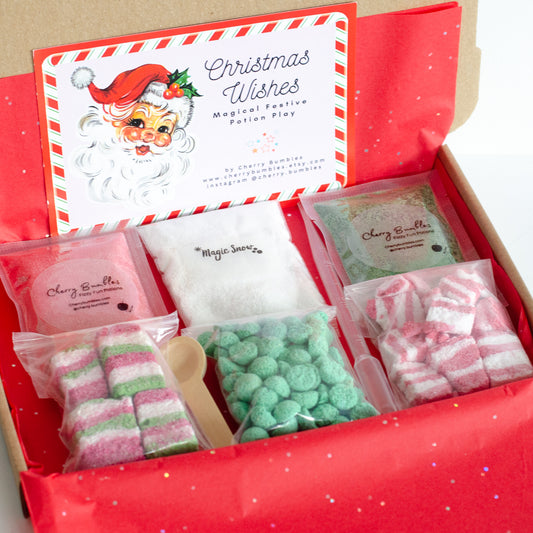 Christmas Potion Kit / Christmas gift for kids